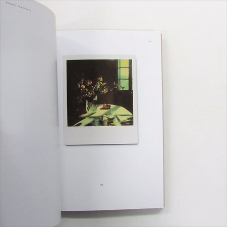 Instant Light   Tarkovsky Polaroids