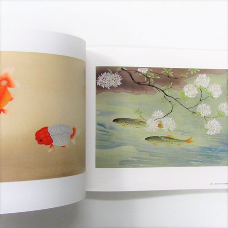 大野麥風展 「大日本魚類画集」と博物画にみる魚たち | 古書くろわぞね 