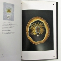 サルバトーレ・ダリ 宝石デザイン展の図録その他 - その他