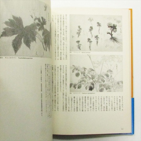 日本の博物図譜 十九世紀から現代まで | 古書くろわぞね 美術書、図録