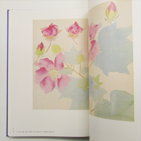 福田平八郎 作品と素描 全二巻 | 古書くろわぞね 美術書、図録、写真集、画集の買取販売