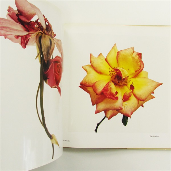 Flowers / アーヴィング・ペン写真集 | 古書くろわぞね 美術書、図録