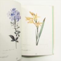 花の画家 ルドゥーテ『美花選』展 | 古書くろわぞね 美術書、図録